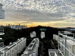 Blk 70C Telok Blangah Ridgeview (Bukit Merah), HDB 4 Rooms #462536151